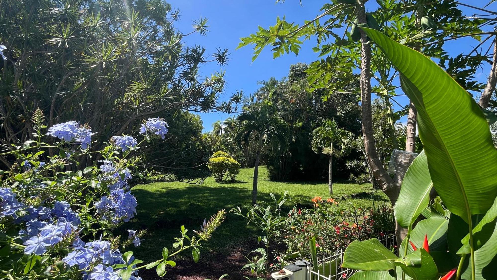 Le Jardin Kerveguen, Calme, Confort Et Deco Unique, Mer A 8 Min, St Pierre-Tampon 400 Le Tampon Zewnętrze zdjęcie